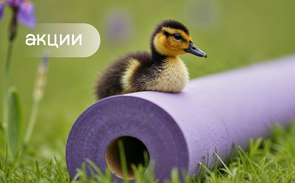 Текущие акции